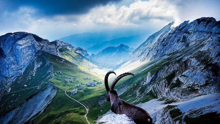 Mountains