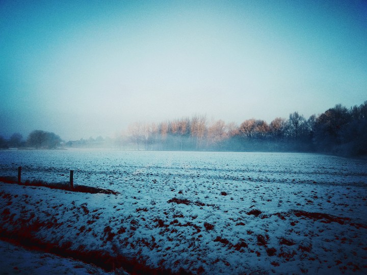 Frost Feld