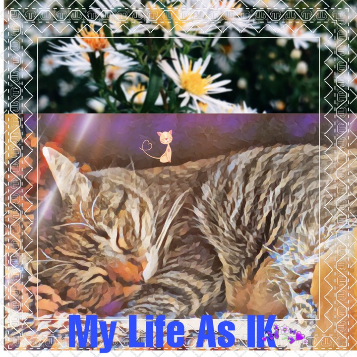 My Life As IK