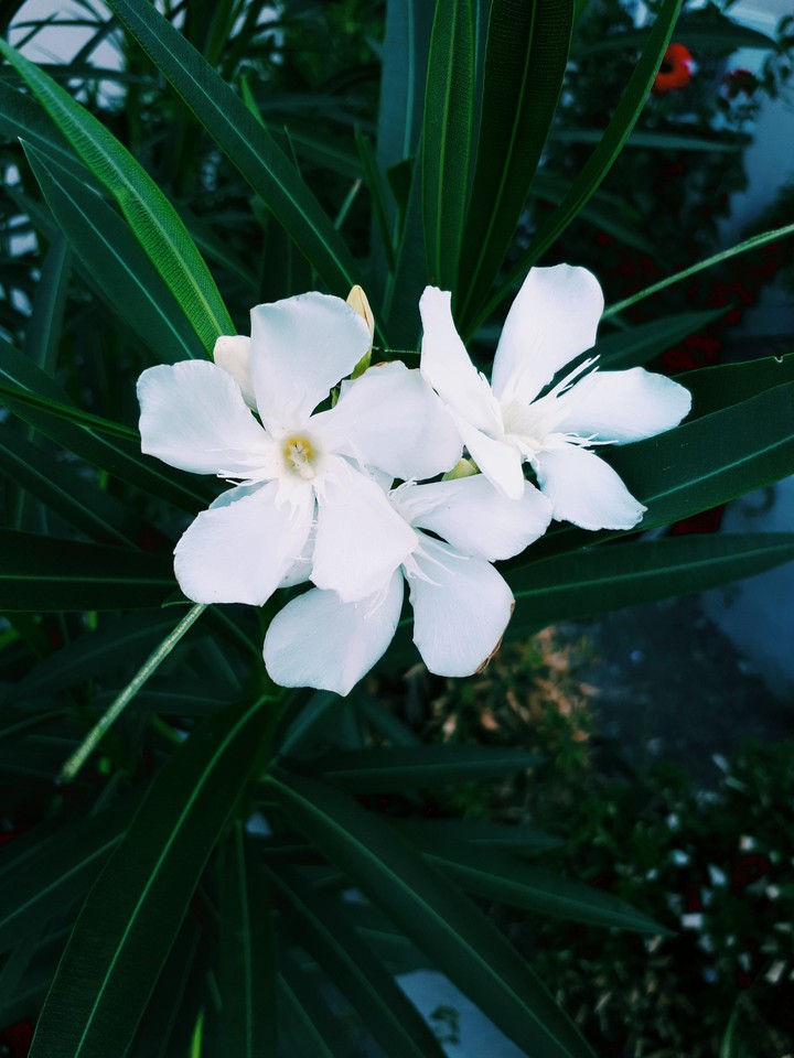 ♡°♡°♡°♡°♡°♡°