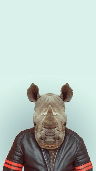 Motorcycle Rhino