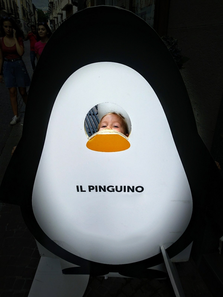 The penguin