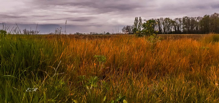 campagne
