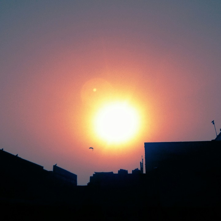 morning sun