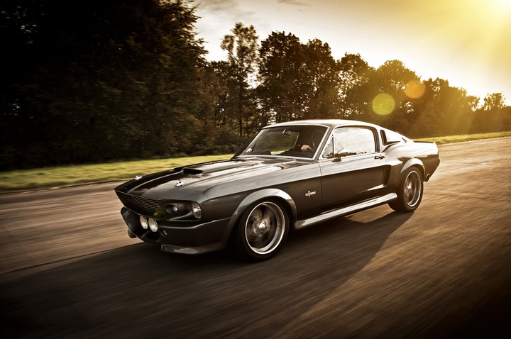 ford shelby mustang gt500