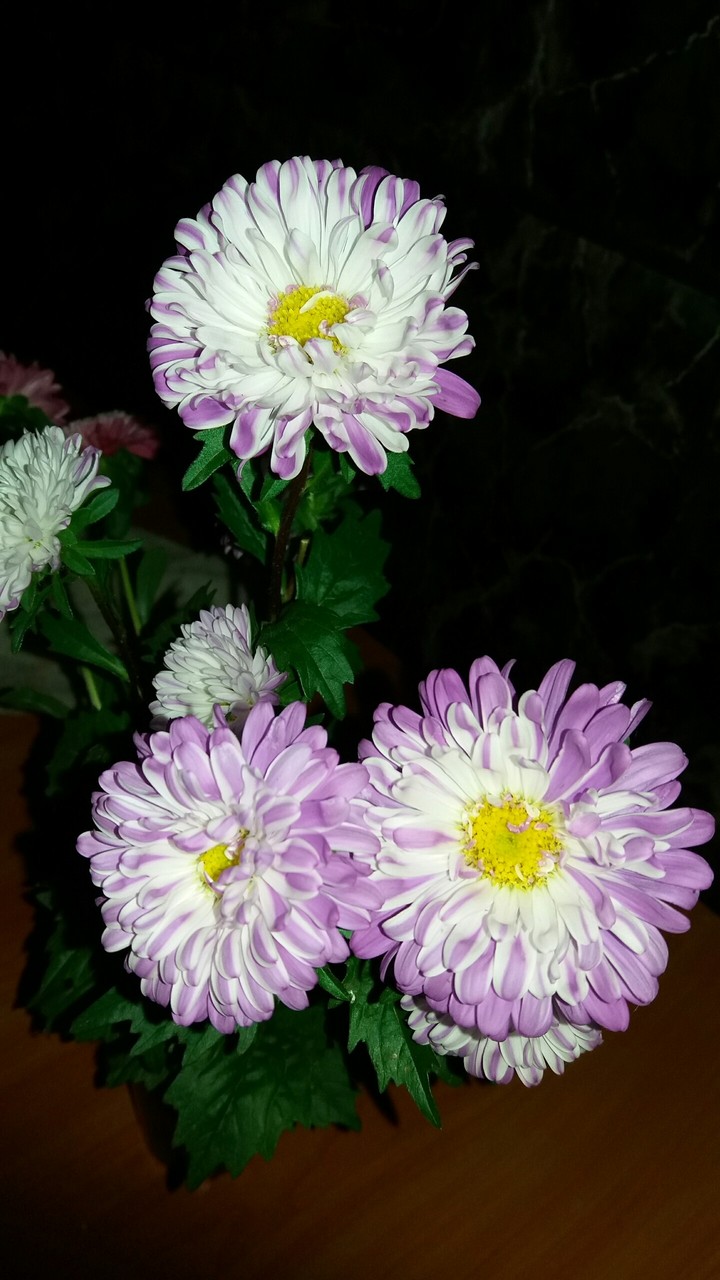 flowers