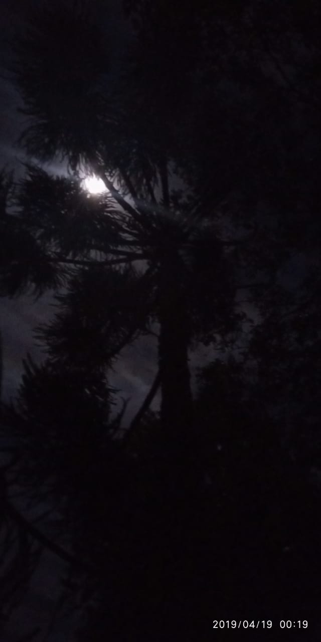 moon light