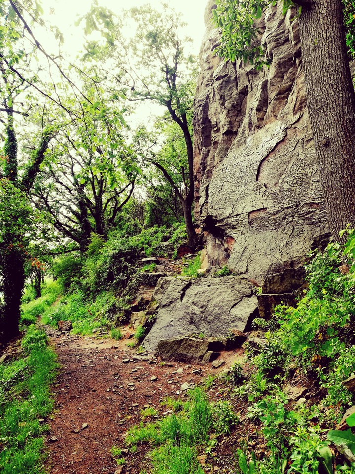 Rock