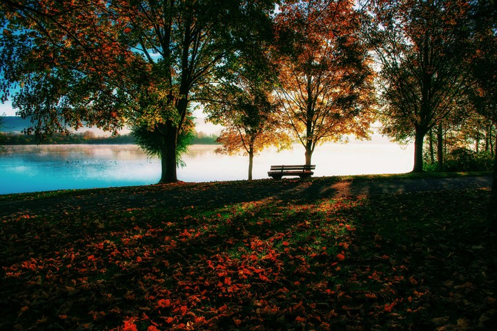 Herbst-Weg
