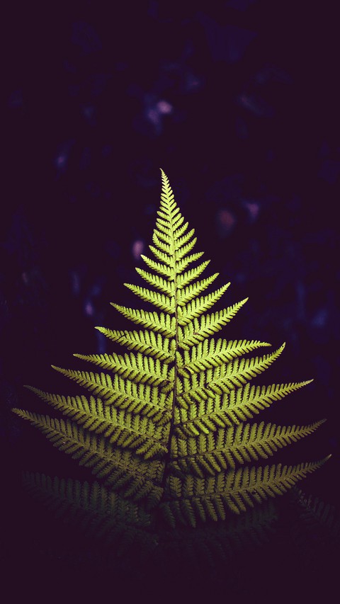 nature