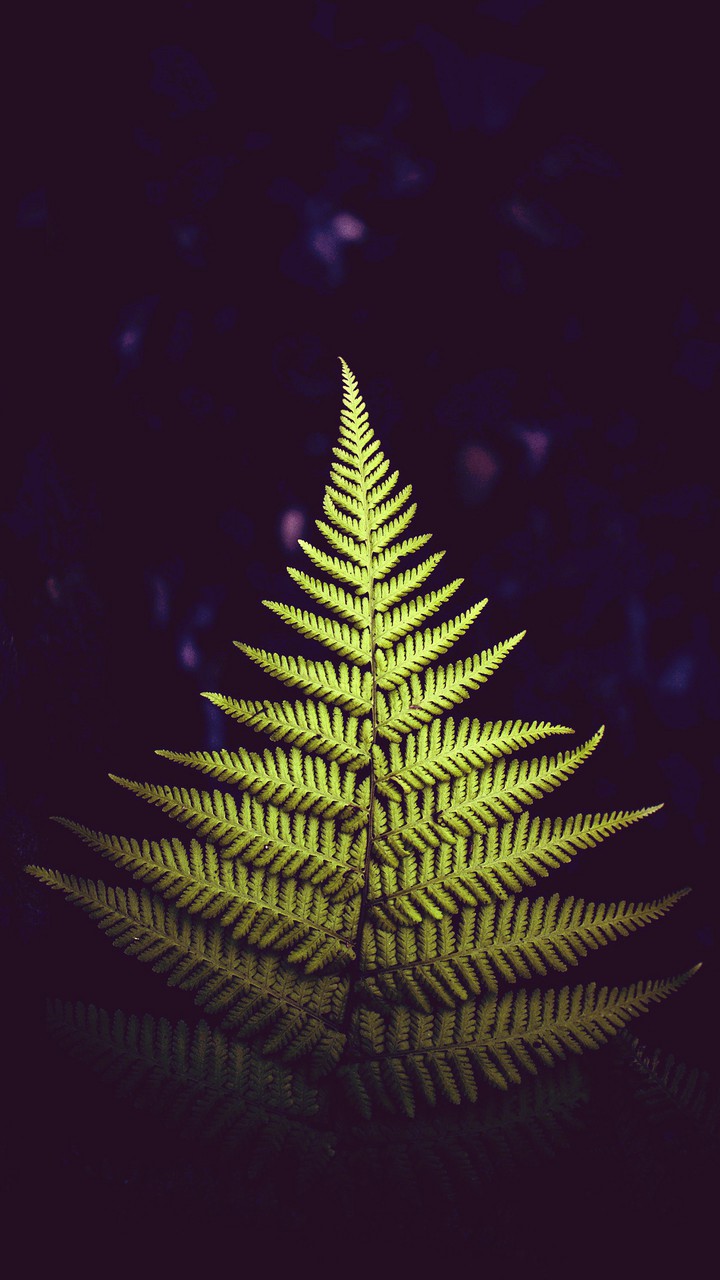 nature