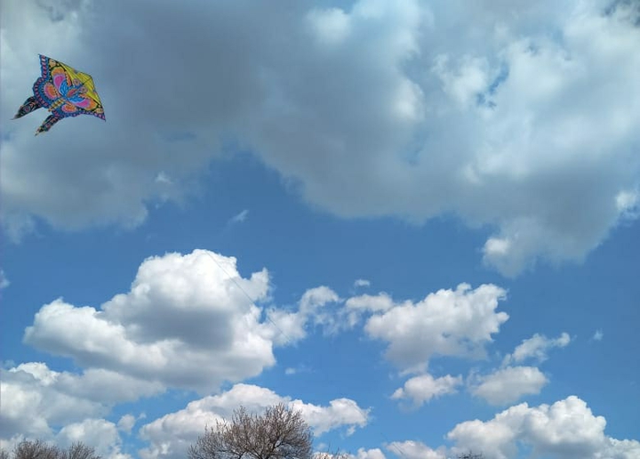 kite in sky
