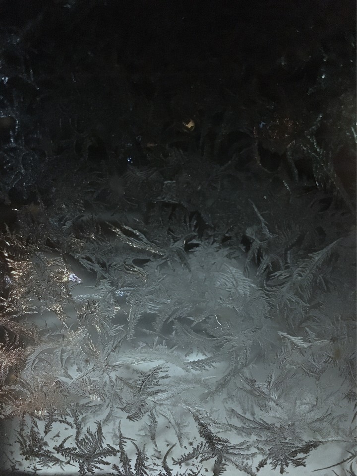 #Frost #Winter #Cold