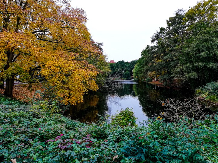 autumn colors