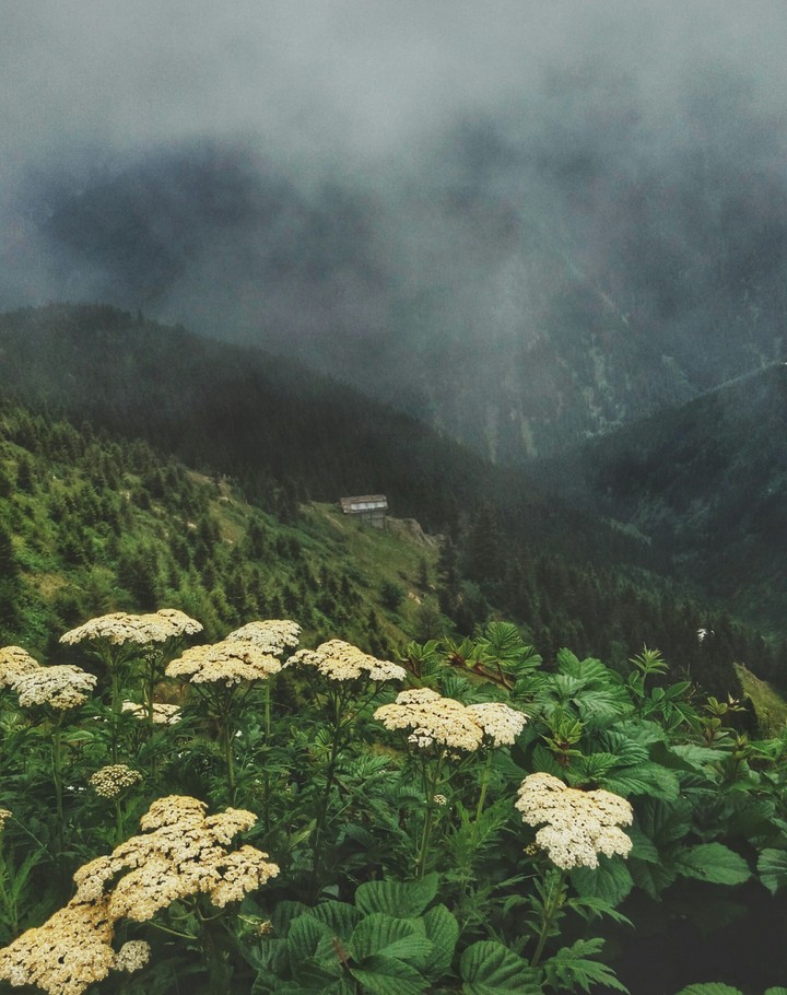 Trabzon