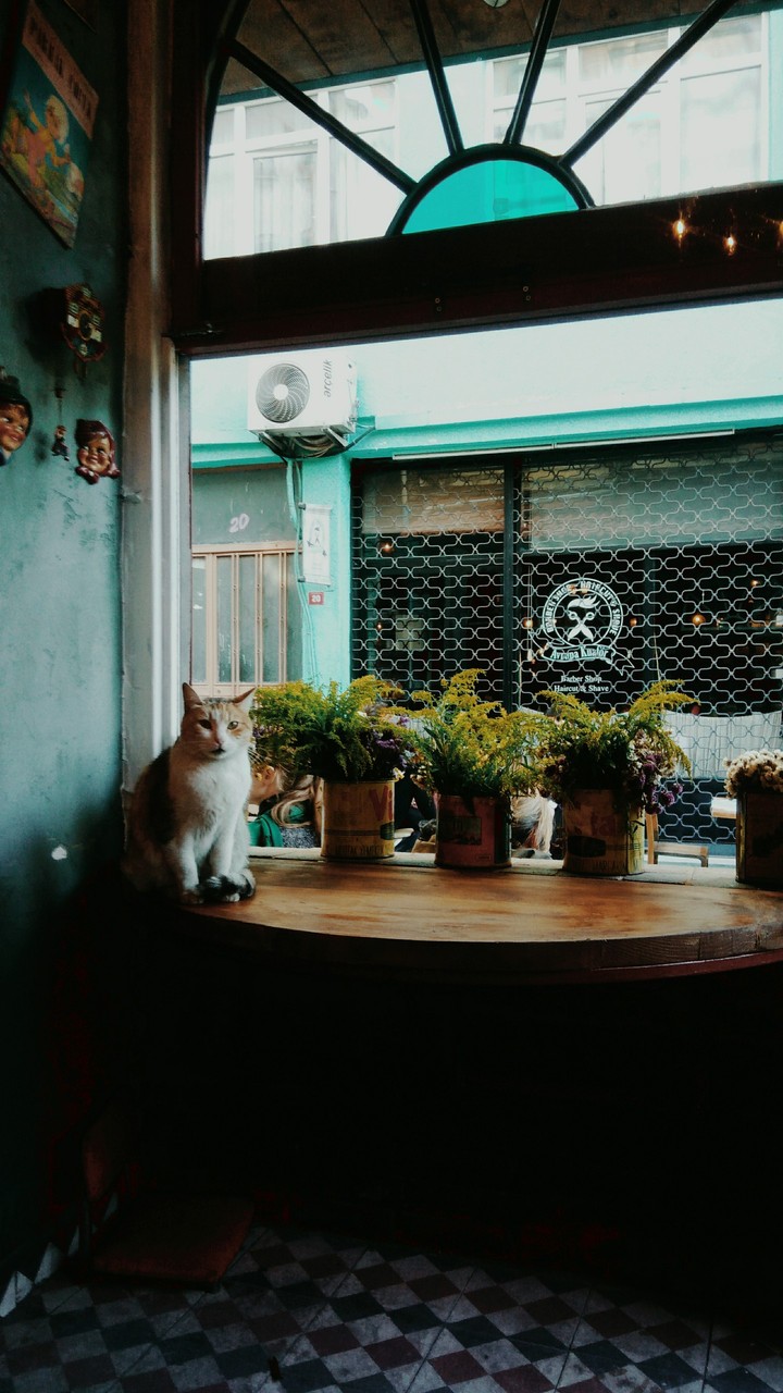 istanbul fotoğraf