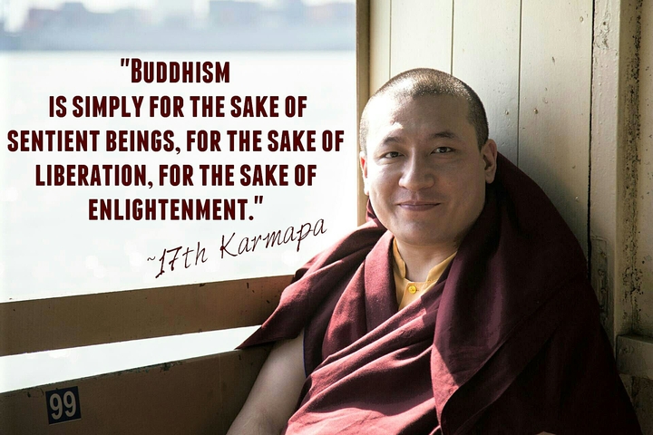 Buddhism - Karmapa