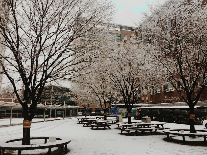 First Snow fall of the Season
