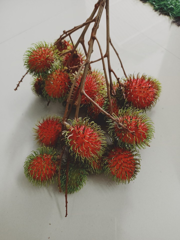rambutan