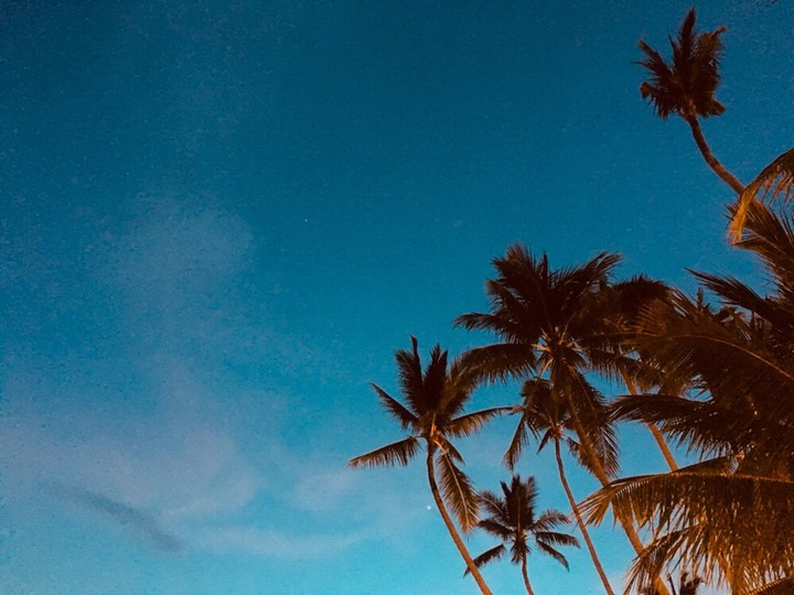 night beach