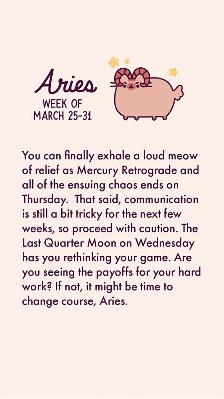 pusheen