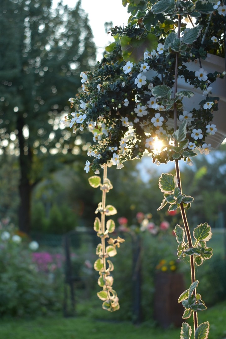 Beautiful nature