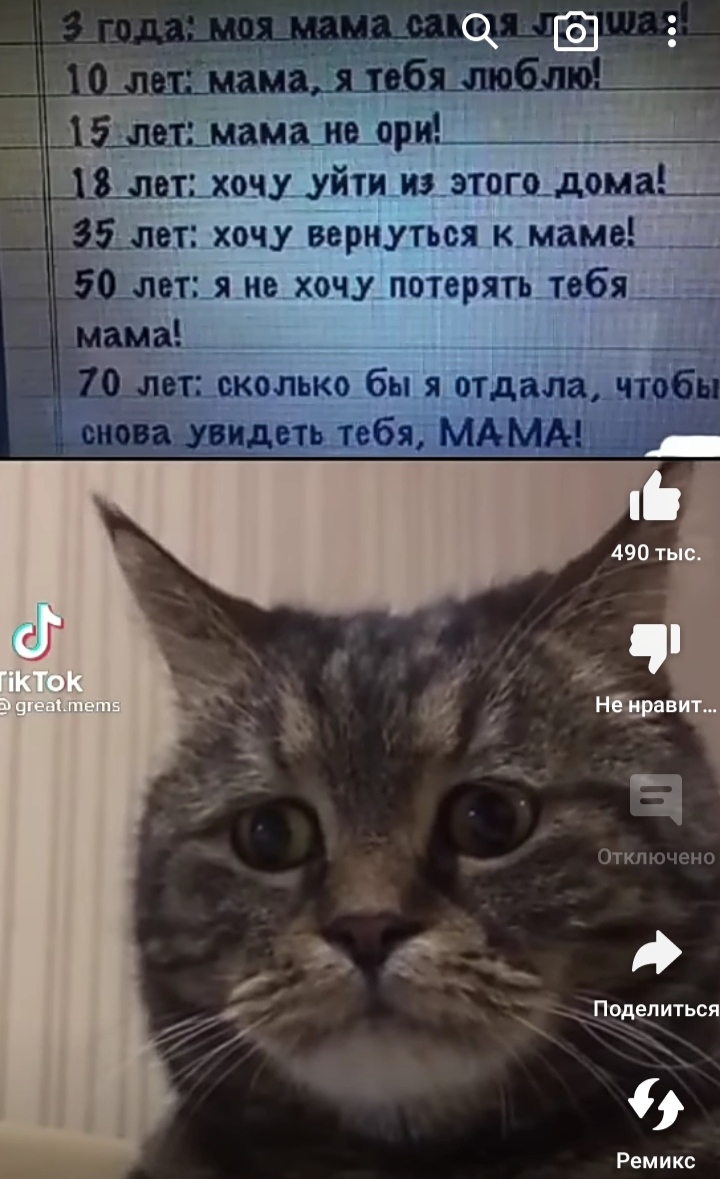 Грустная правда мем