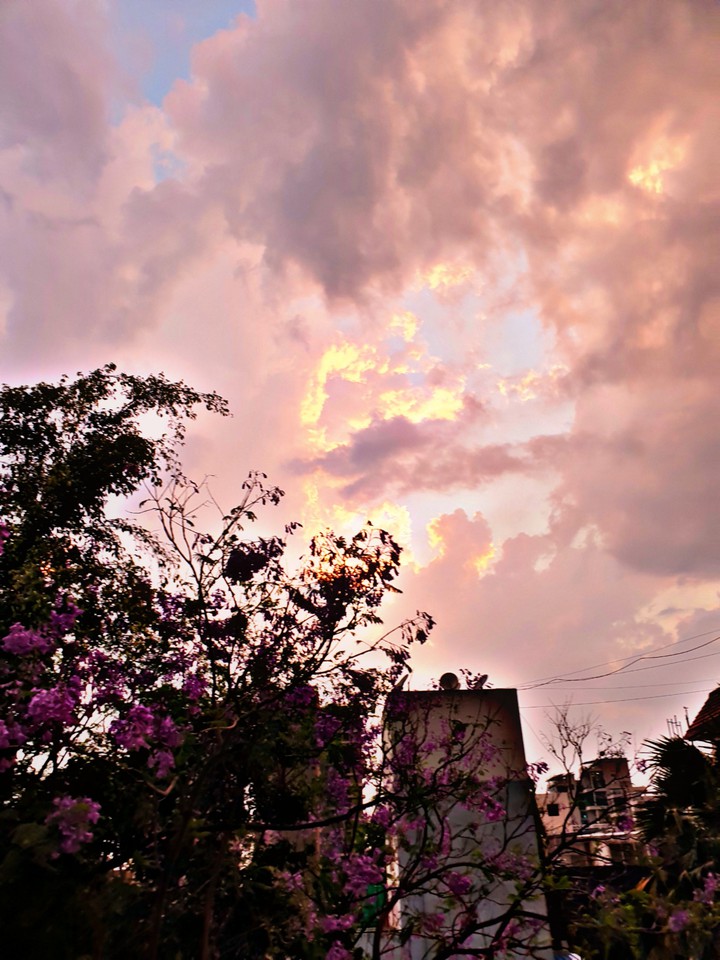 sunset