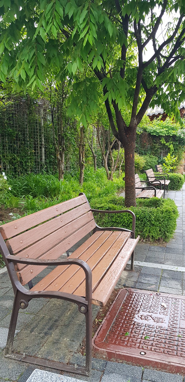 의자
