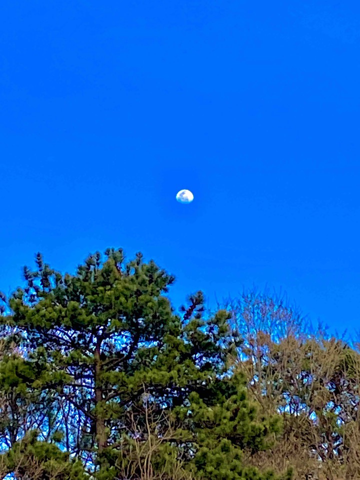 moon