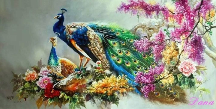 peacock & garden