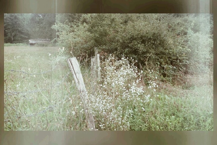a memory