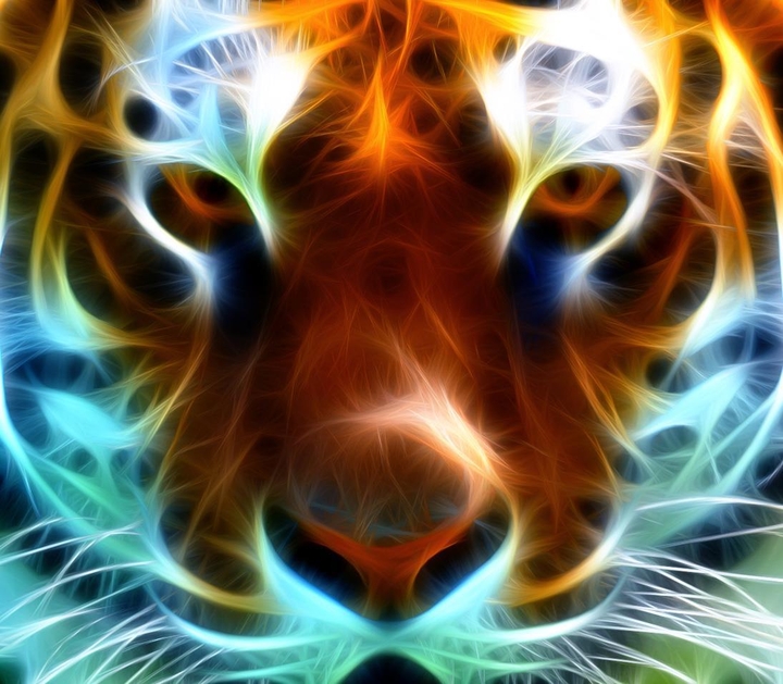 lion