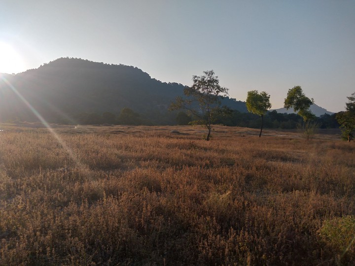 sun set