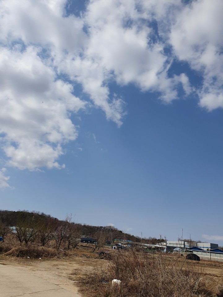 하늘