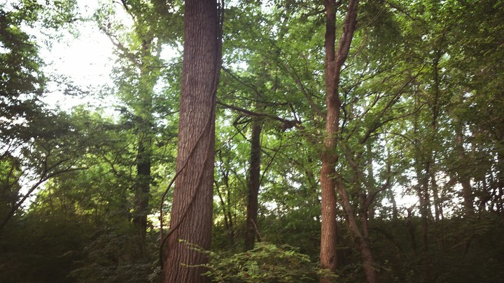 beautiful earth