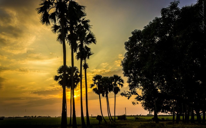 rural india