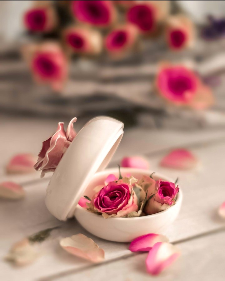 Stilllife