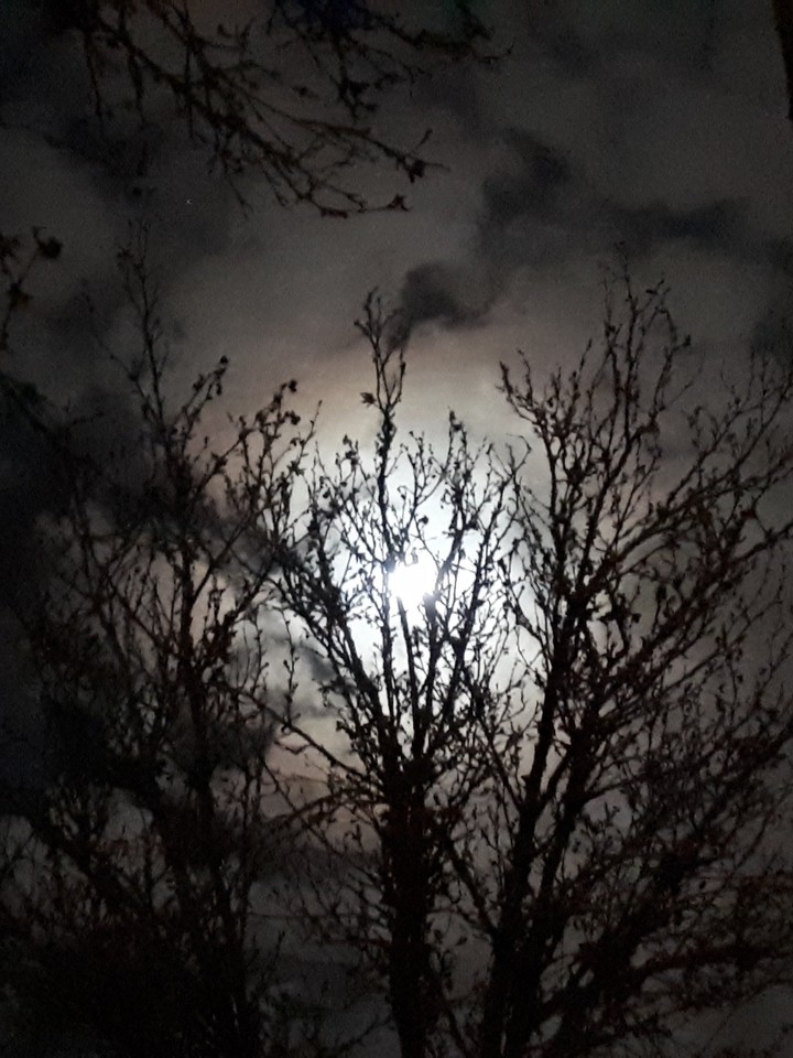 darkness