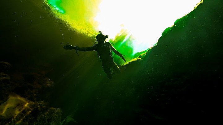 under water life...