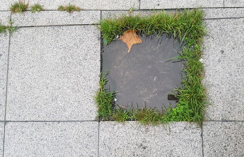 작은웅덩이