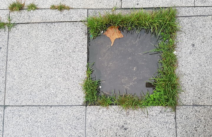 작은웅덩이