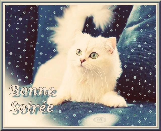 bonne soiree