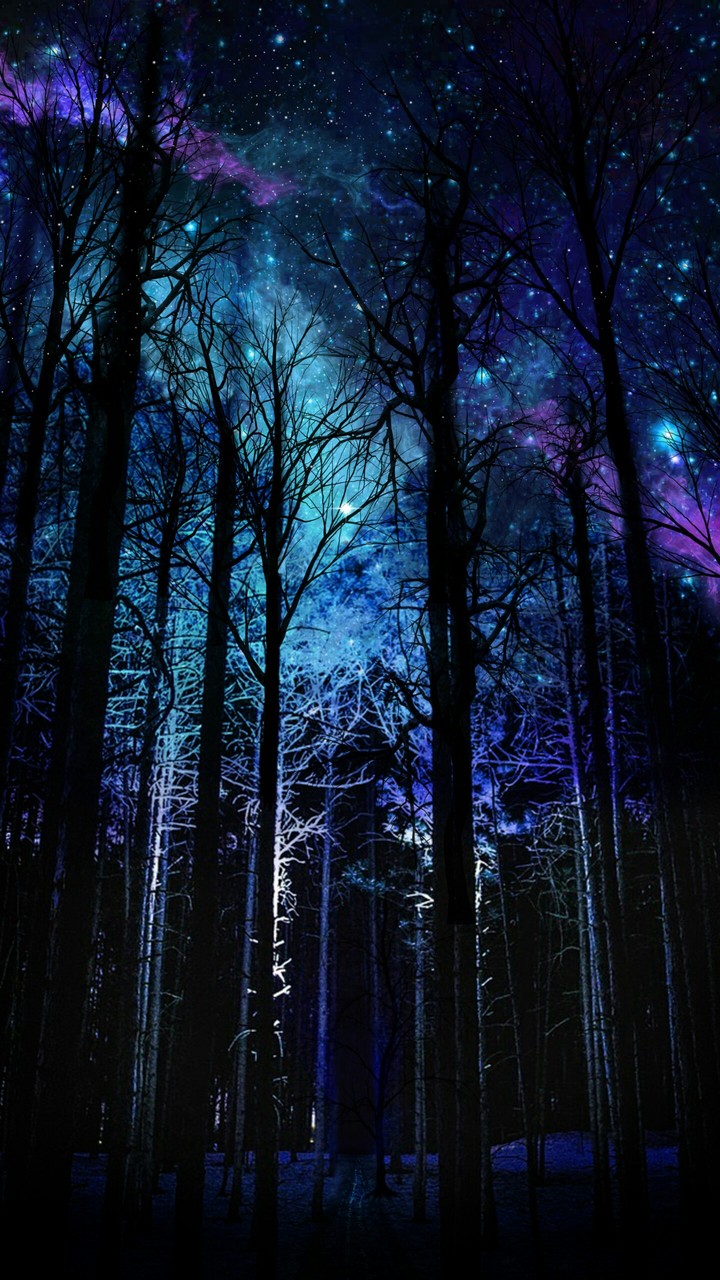 A night in heaven