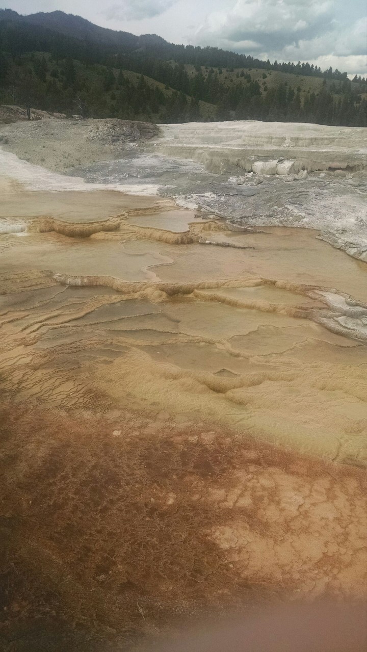 Hot Springs Pool