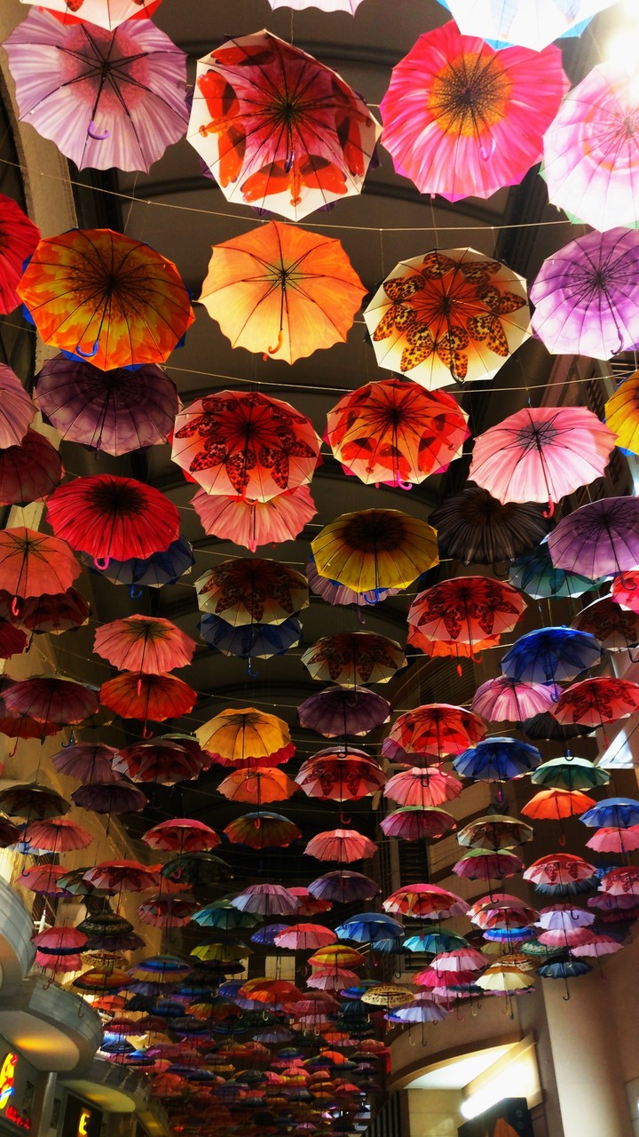 Umbrella skies