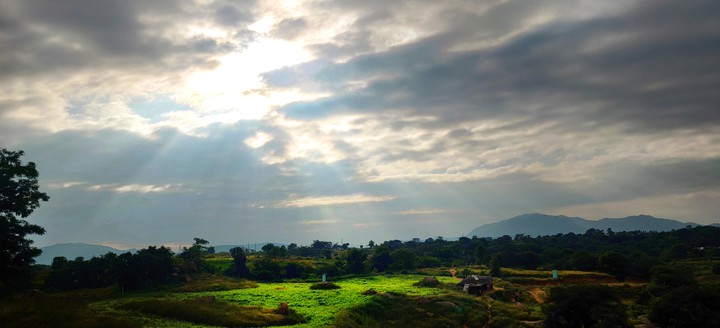 lavish landscape