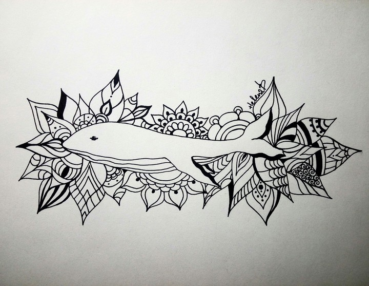 whale