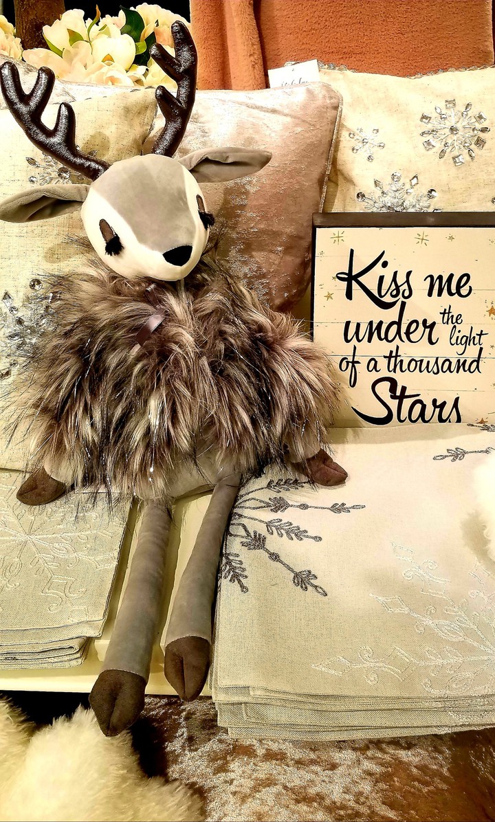 Beautiful Reindeer
