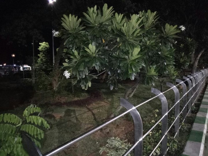 Night Shoot